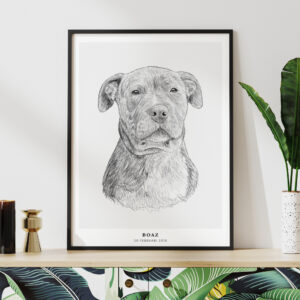 Scribble Pet Portrait